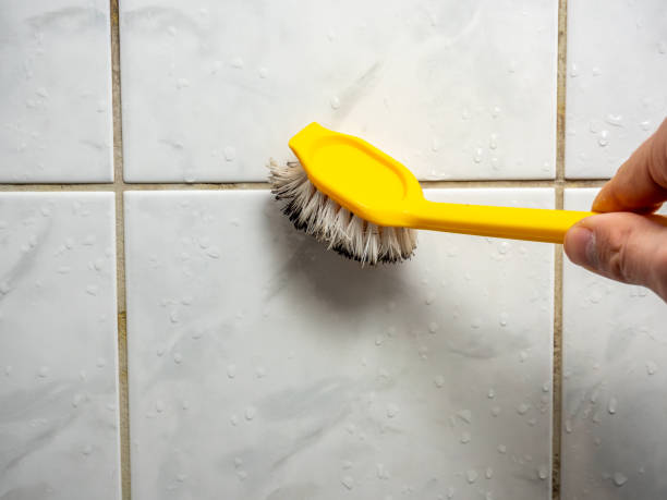 Best DIY Mold Remediation Support Services in Urania, LA