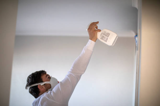 Best Attic Mold Remediation in Urania, LA