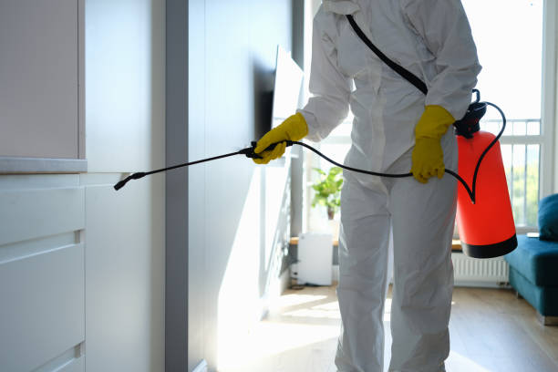 Best Health and Safety Mold Remediation in Urania, LA
